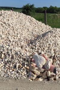 images/Omlesztett-anyagok/22-56.jpg